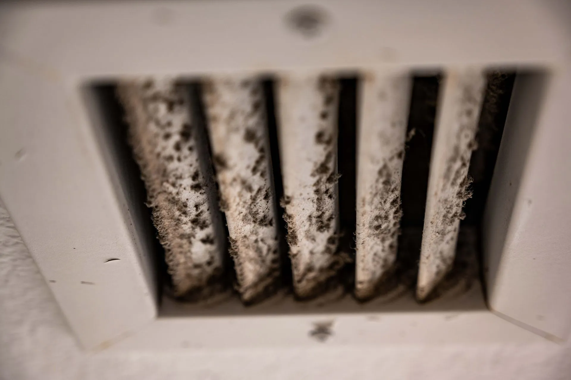 How to Combat Mold in Your Vents