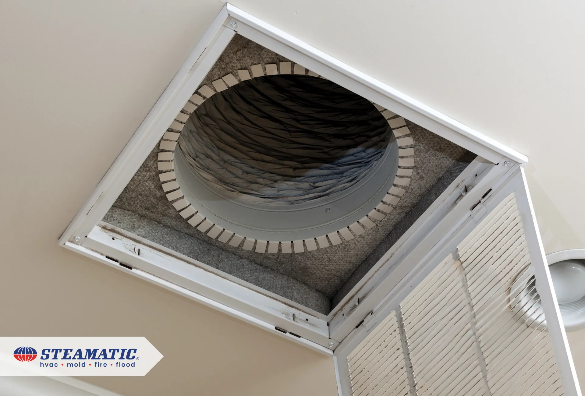 Spring Cleaning: The Link Between Seasonal Allergies and Air Duct Cleaning