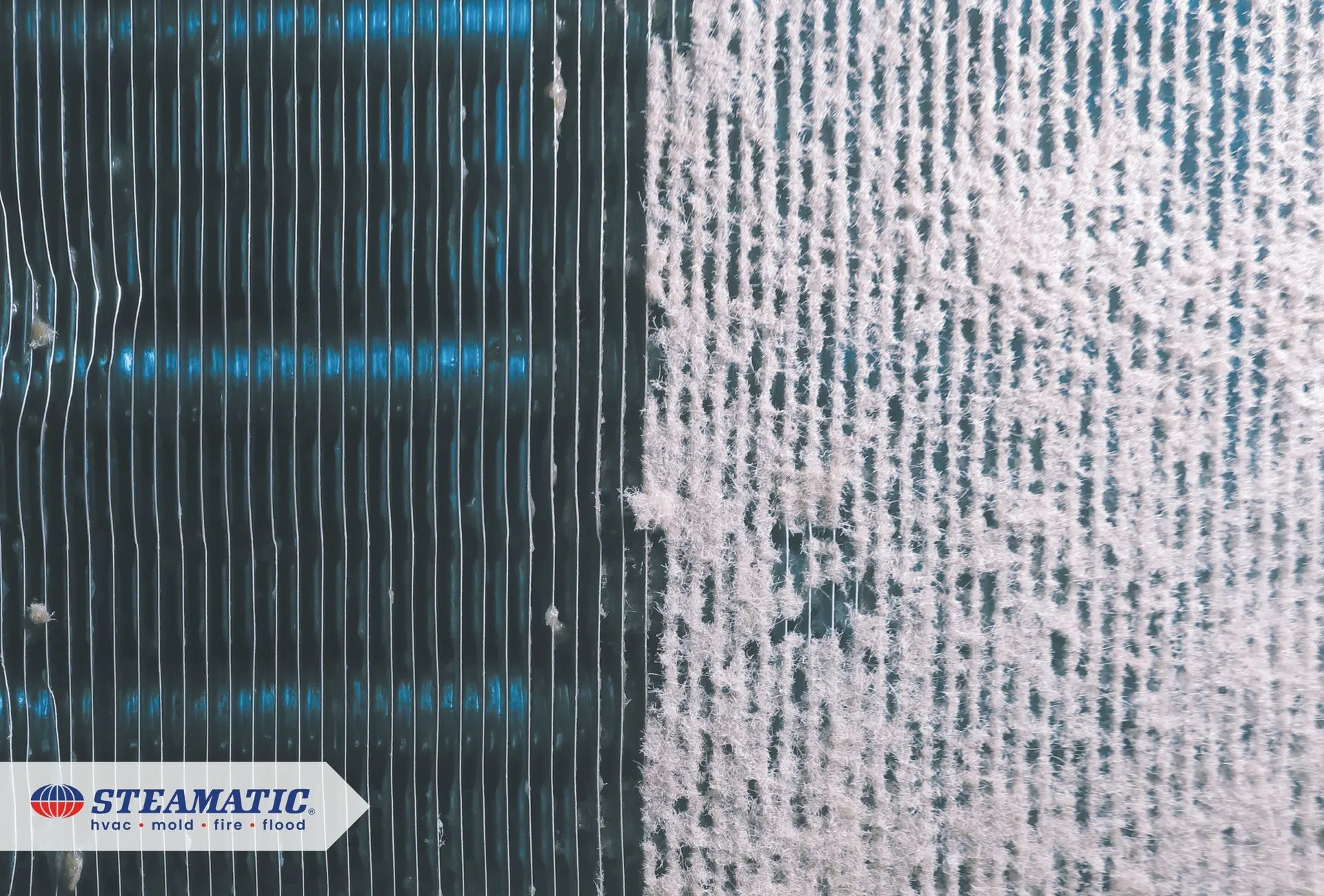 Improve HVAC Performance: Why Condenser & Coil Cleaning Matters