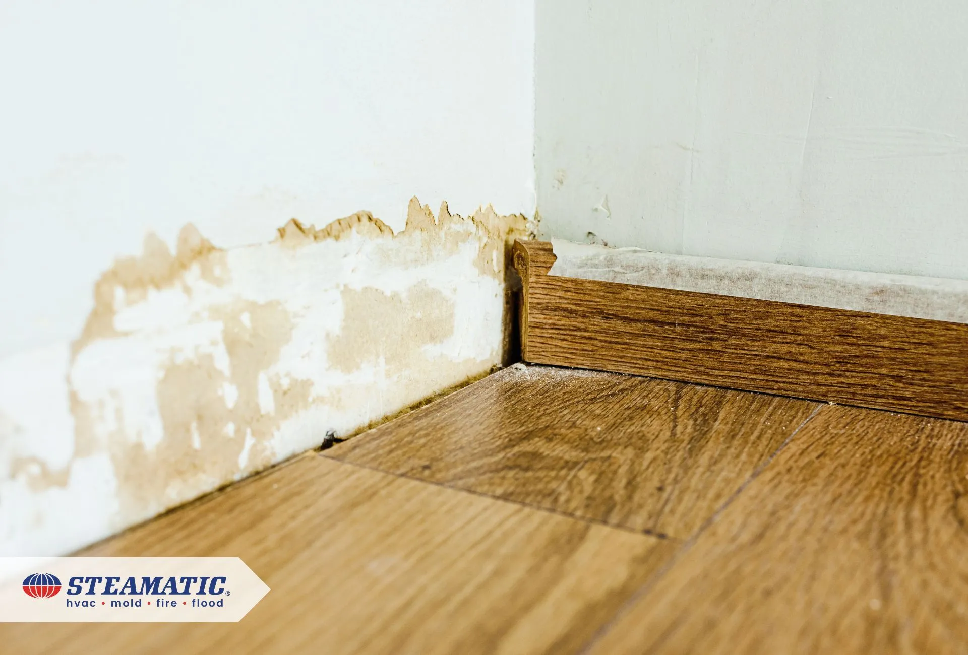 Quick Guide to Water Damage: What Every Homeowner and Business Should Know