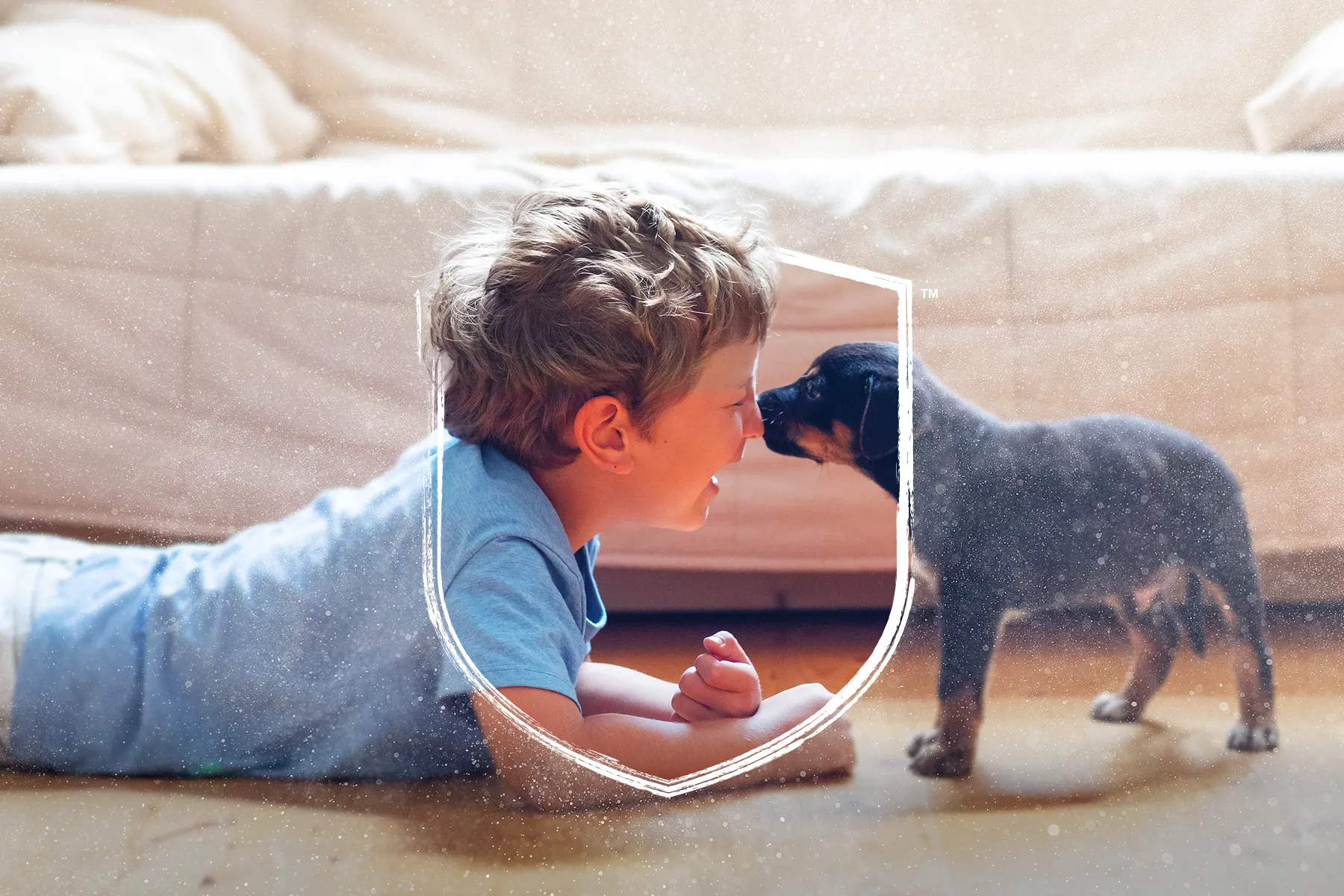 Healthy Indoor Environments Start with Steamatic